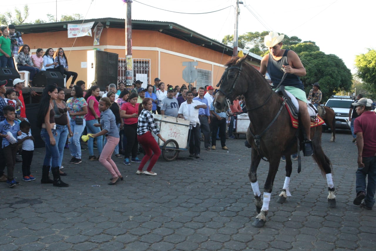 HIPICA1